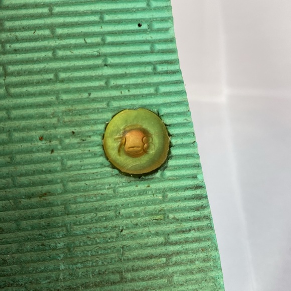 Vera Bradley flip flops - Picture 6 of 6